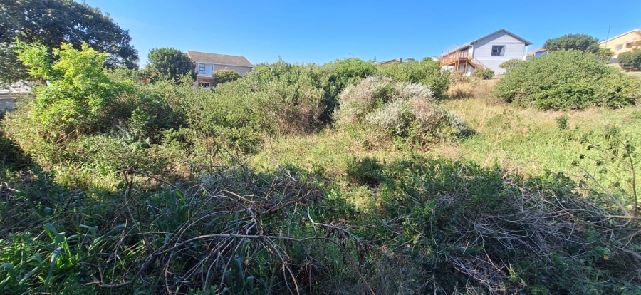 0 Bedroom Property for Sale in Fraaiuitsig Western Cape